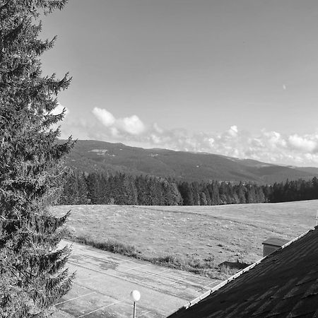 Au P'Tit Nid Douillet De Lea Apartment Muhlbach-sur-Munster Luaran gambar