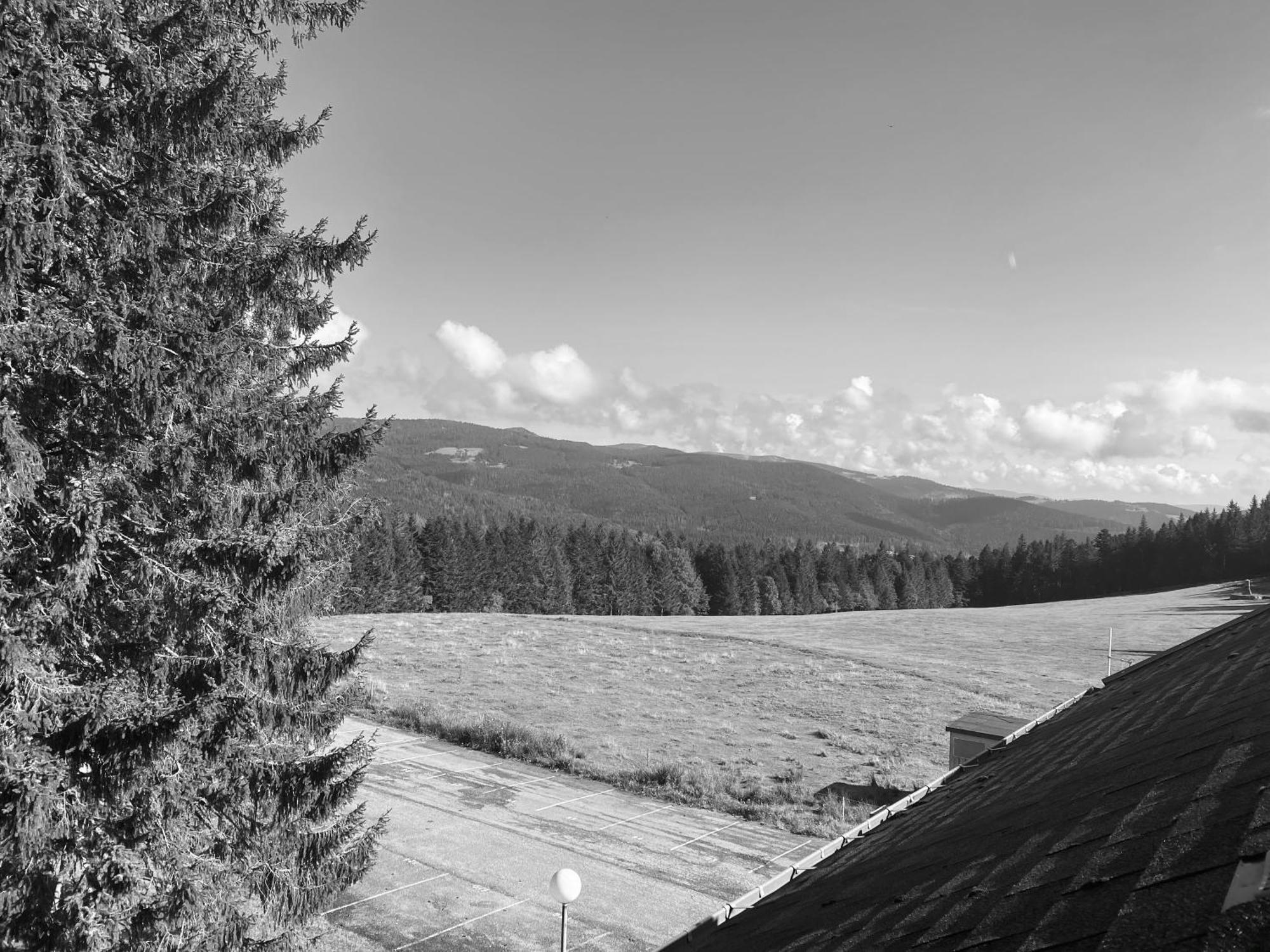 Au P'Tit Nid Douillet De Lea Apartment Muhlbach-sur-Munster Luaran gambar