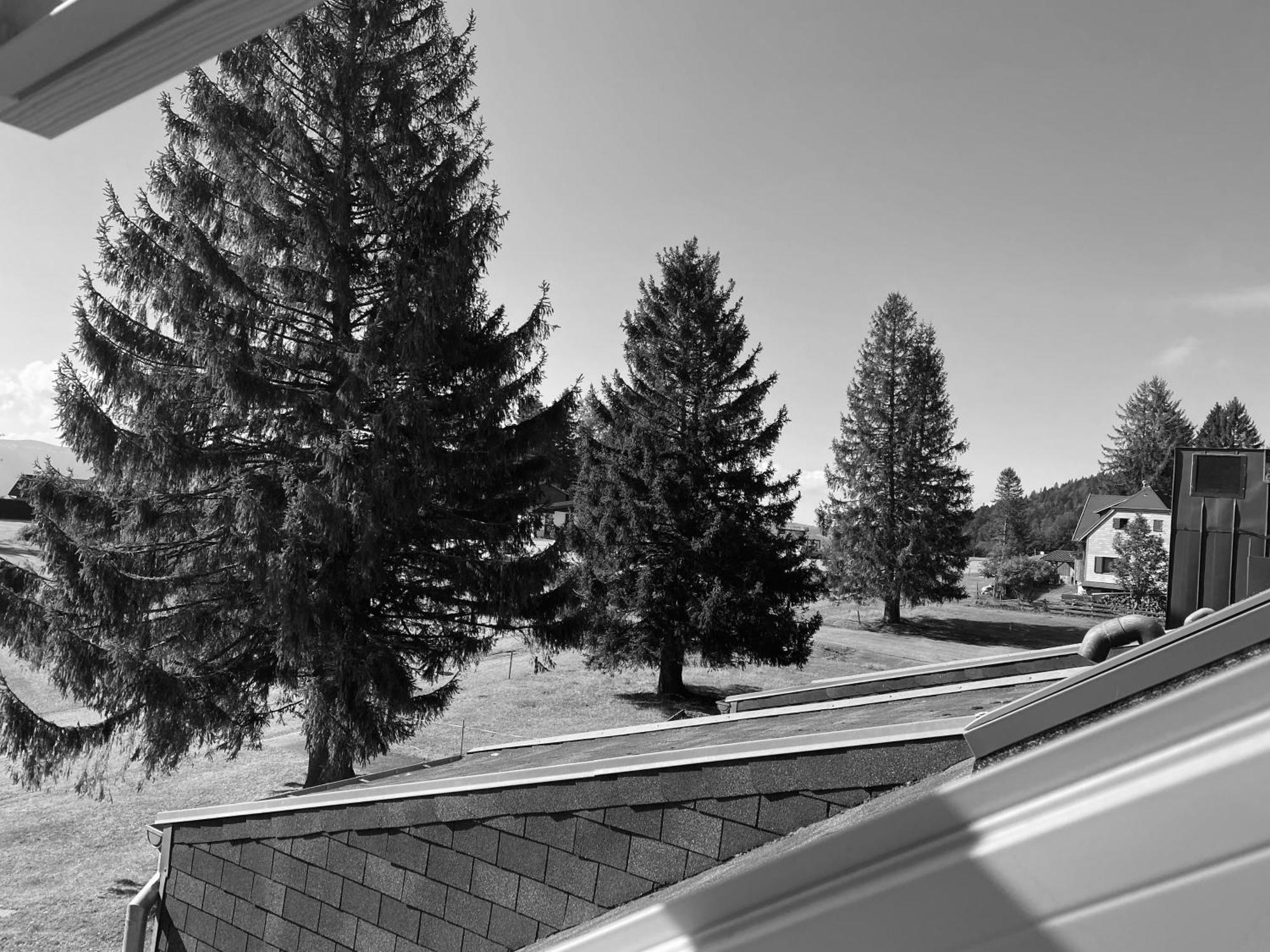 Au P'Tit Nid Douillet De Lea Apartment Muhlbach-sur-Munster Luaran gambar